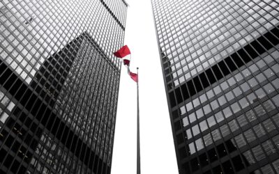  CANADIAN CONTROLLED PRIVATE CORPORATIONS (CCPC) 